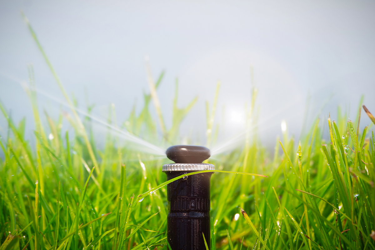 Automatski zalivni sistemi