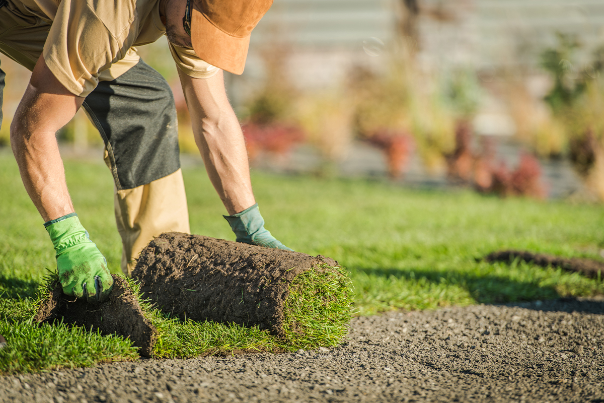 Uređenje zelenih površina